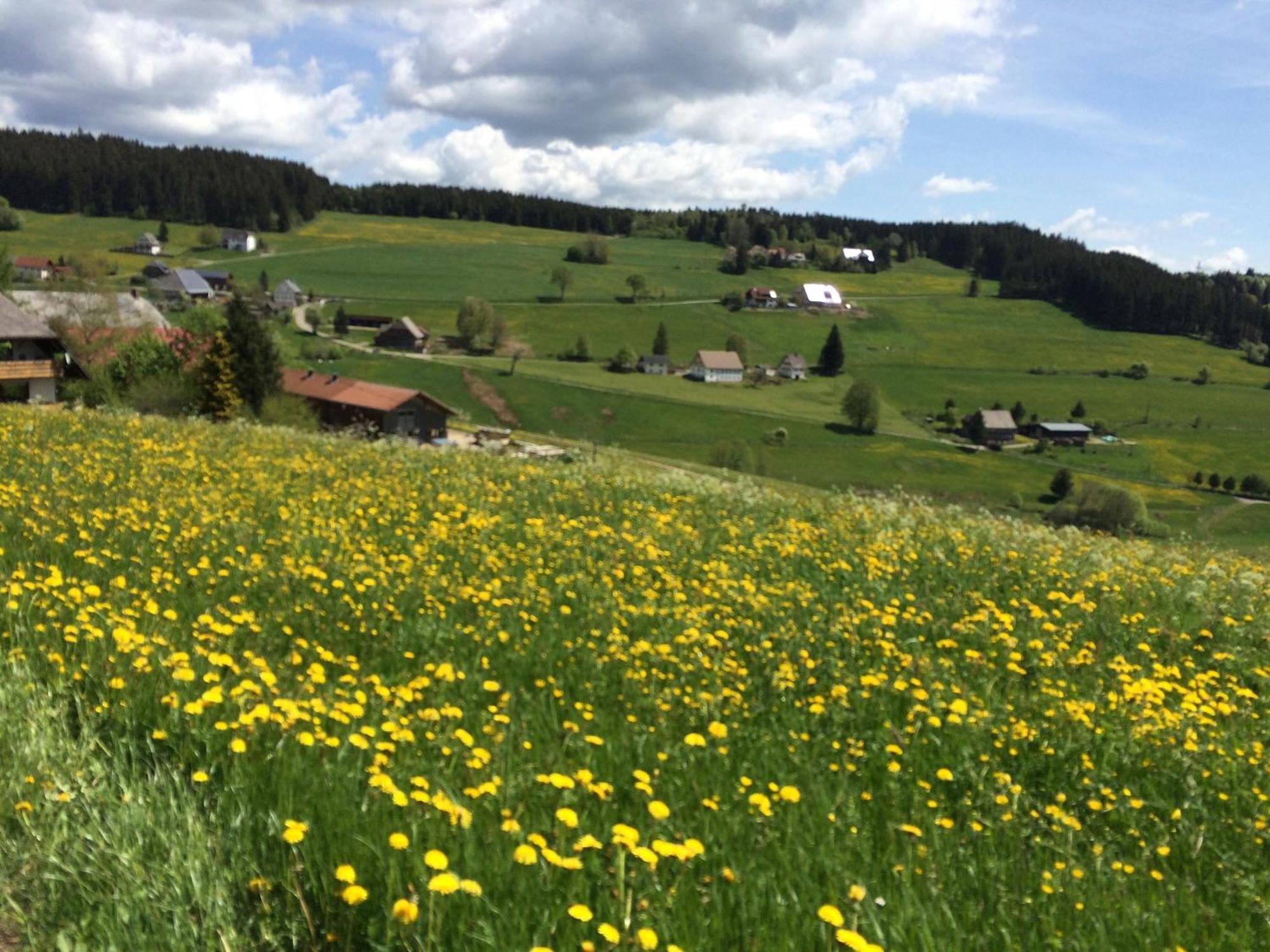 Ferienhaus Robin ทิทิเซ-นอยชตัดท์ ภายนอก รูปภาพ